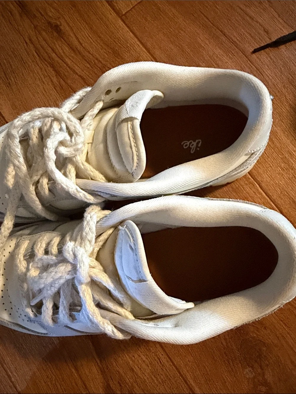 Nike dunk White Low-Top Sneakers